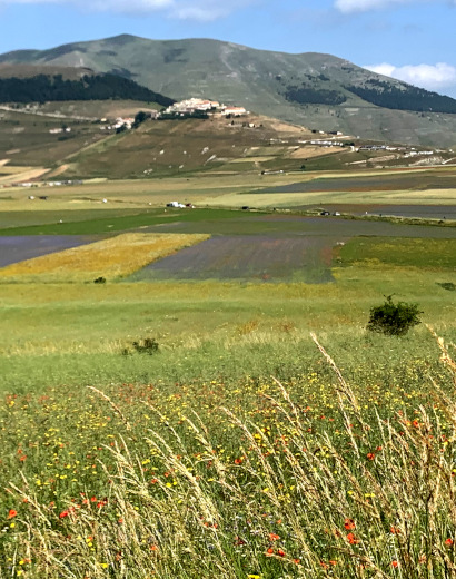 Castelluccio village
