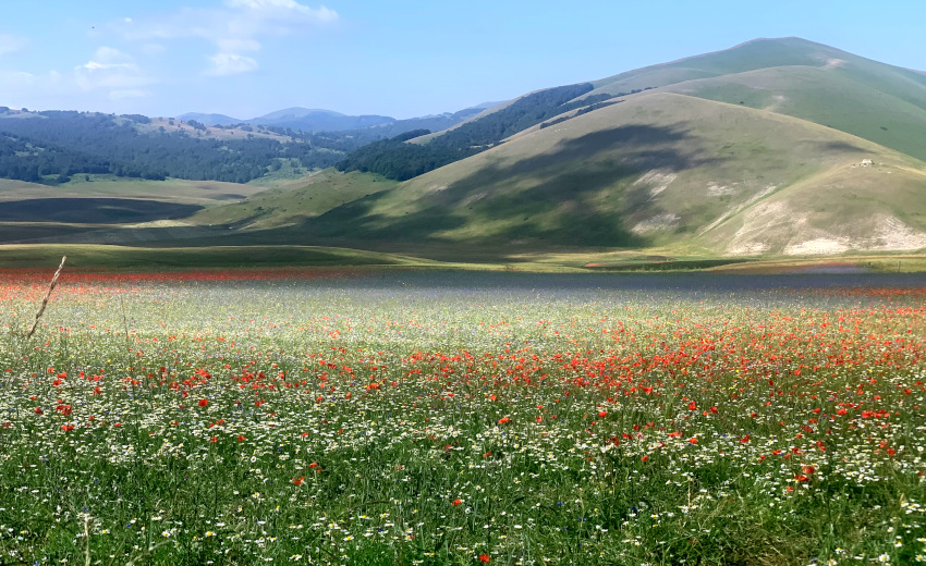 Piana Castelluccio di Norcia